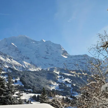 Appartement Bristol Apt-s By Interhome Wengen